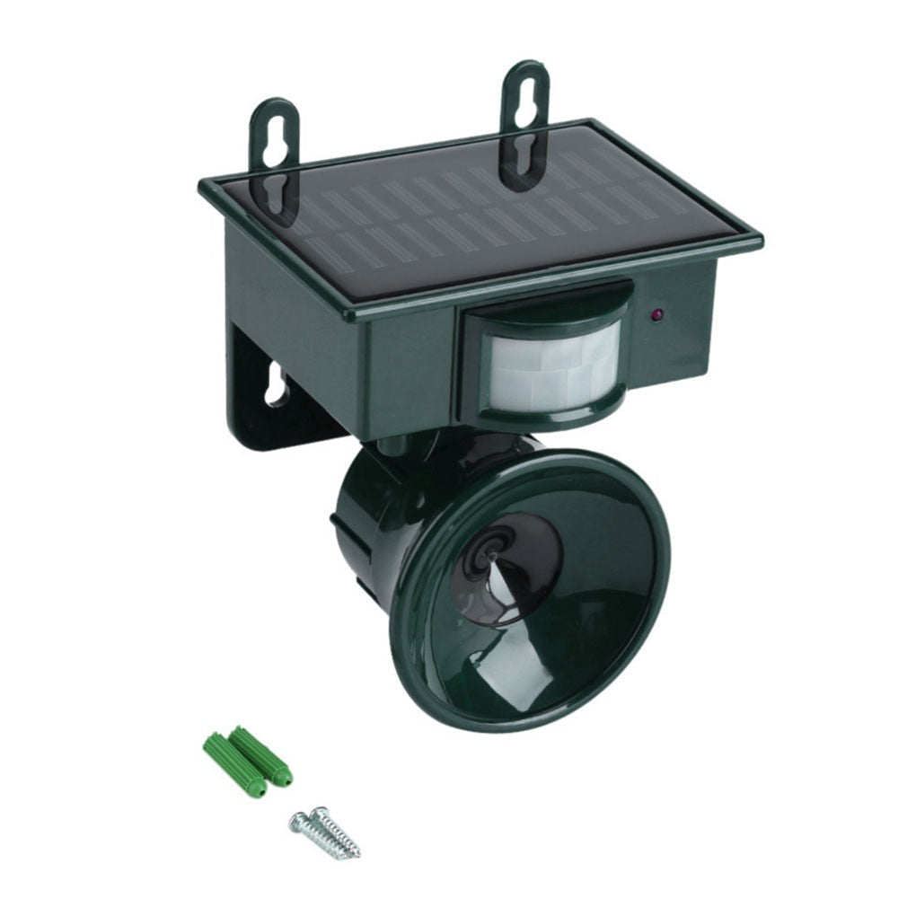 Outdoor solar bird repeller, a humane solution for deterring birds and other garden wildlife.