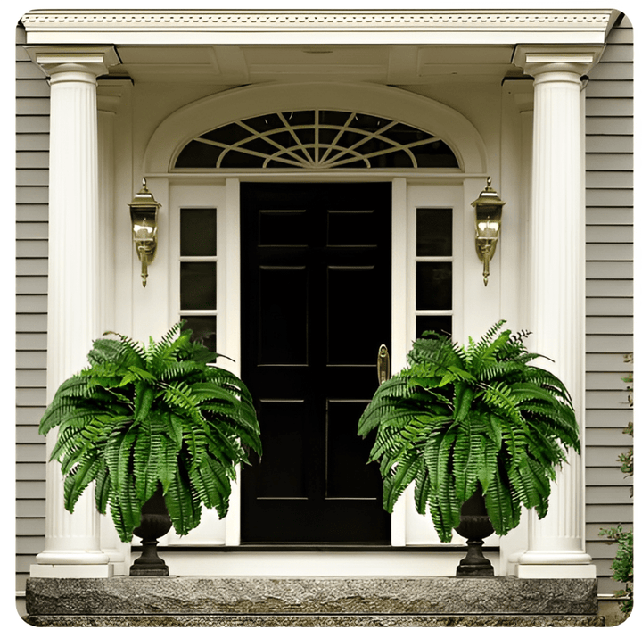 Outdoor UV Resistant Artificial Boston Fern - Lexians