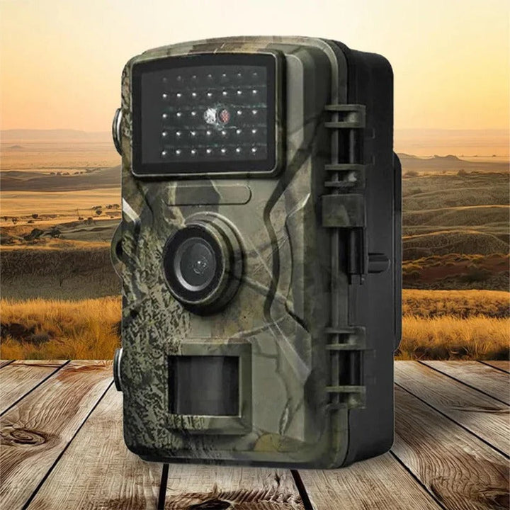 Dedicated animal monitoring camera with night vision, great for observing wildlife in dark conditions.