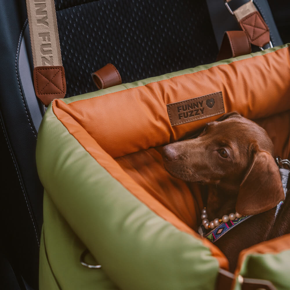 Safe and comfortable PawLuxury dog car seat for secure pet travel booster.