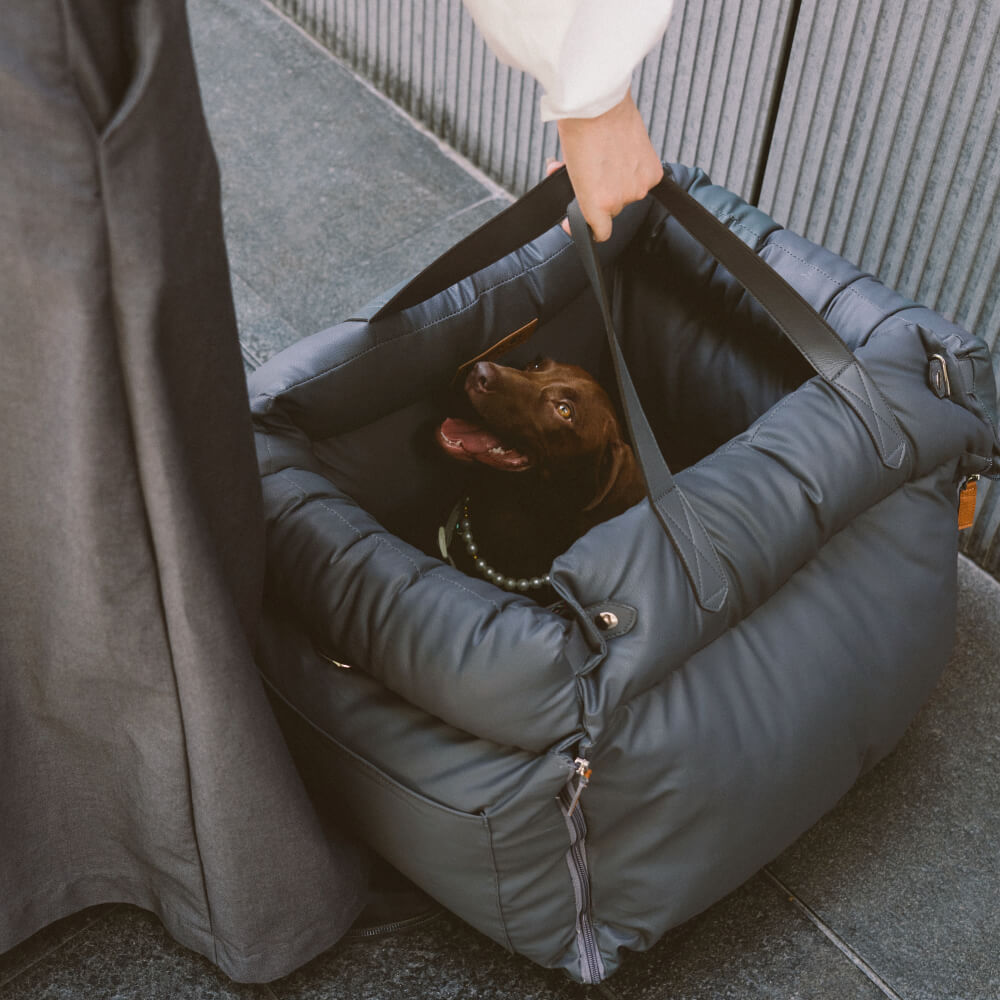 PawLuxury portable dog car seat, easy-install booster for secure pet adventures.