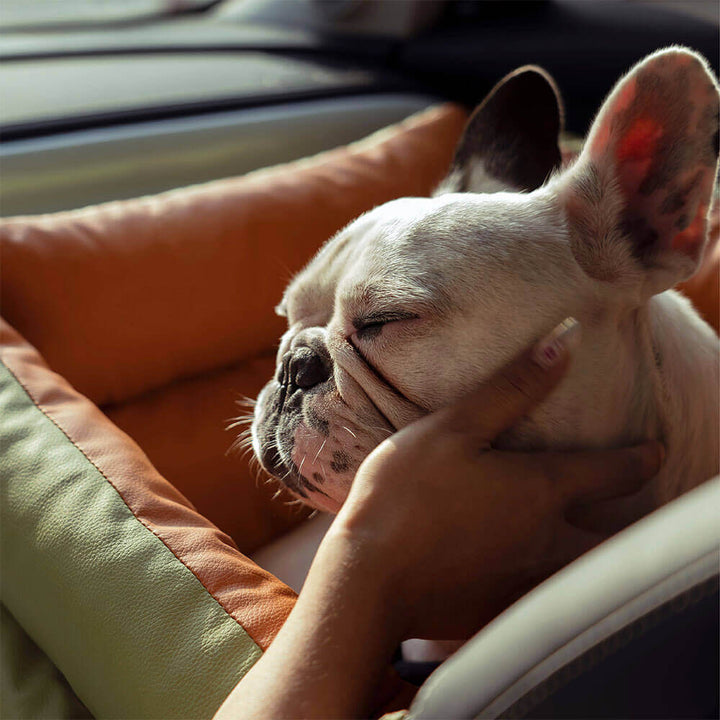 PawLuxury comfortable pet booster, faux leather design for secure dog car travel.