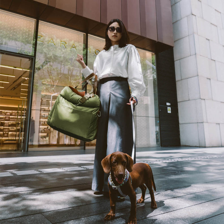 PawLuxury pet safety booster, a comfortable dog car seat for peaceful travel.