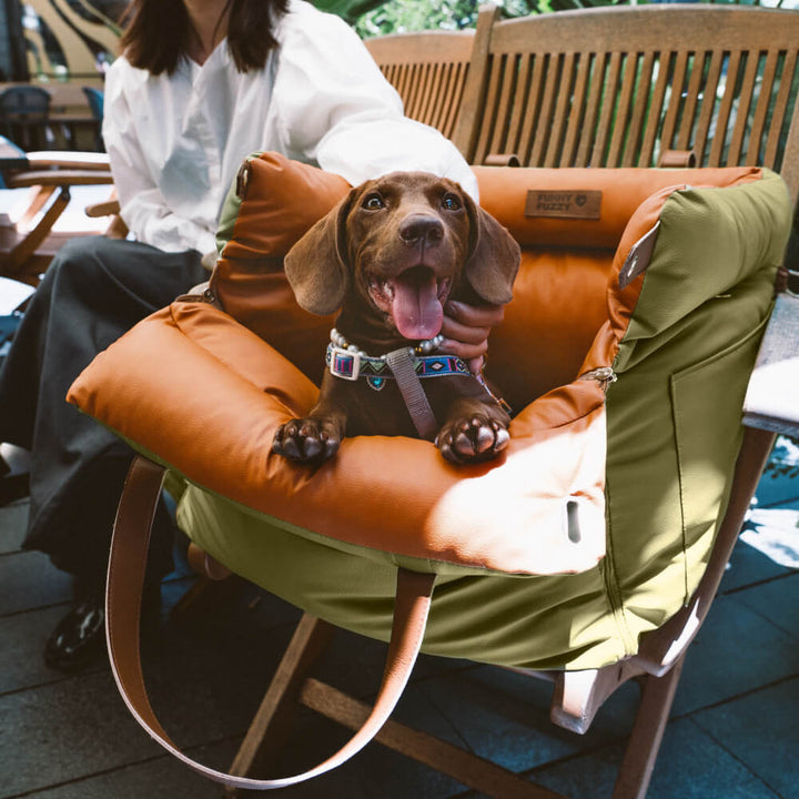 Portable PawLuxury pet booster for dogs, ideal for secure and cozy car travel.