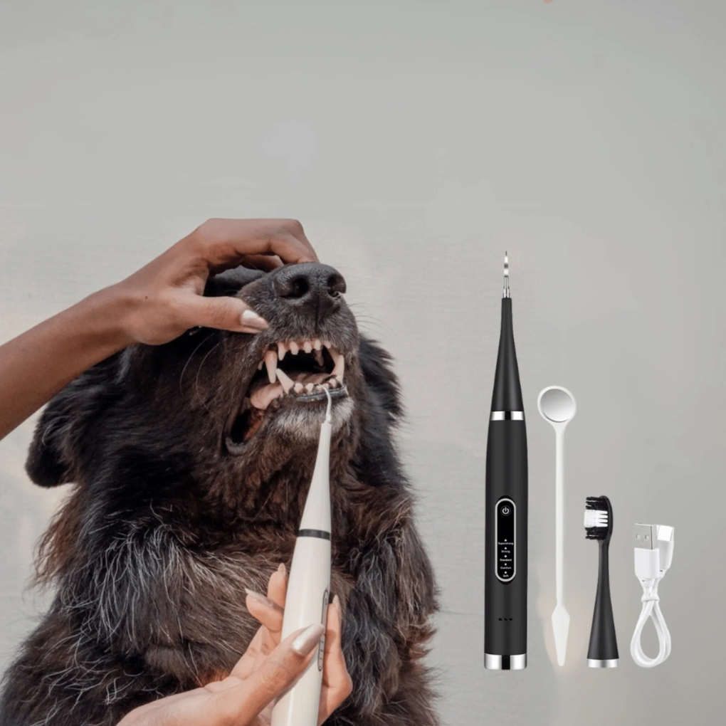 Easy-to-use pet paw cleaner brush kit protects homes from muddy paw prints after outdoor walks. For dogs & cats.