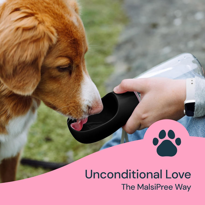 Durable 19 oz portable pet water dispenser with built-in bowl, ideal for all outdoor pet activities.