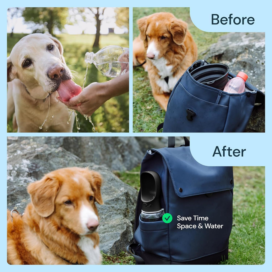BPA-free portable dog water bottle & bowl combo, 19 oz. Leak-proof design for pet travel & walks.