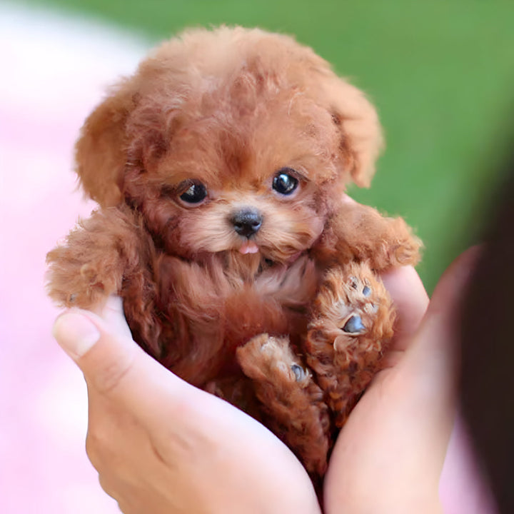 Realistic interactive puppy robot toy for kids, a playful electronic pet that walks and barks.