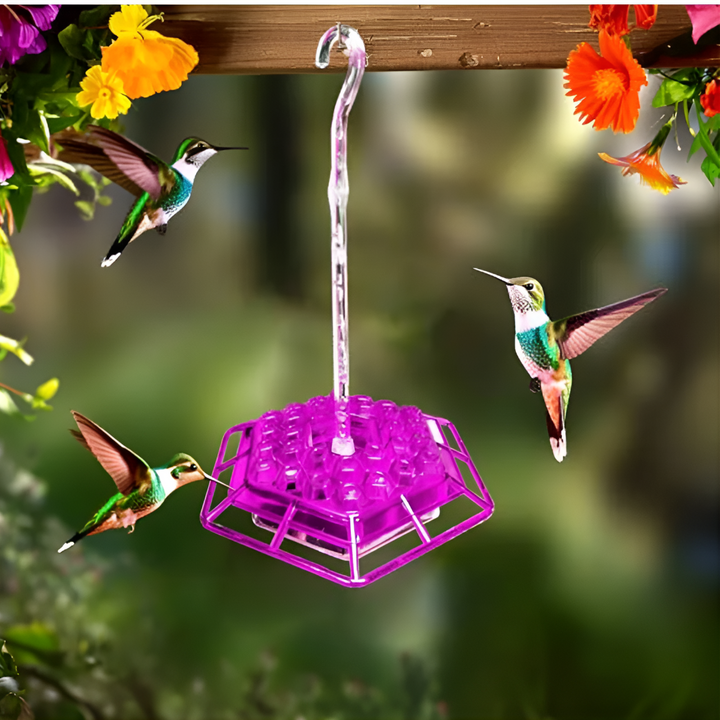 A hummingbird feeder hanging in a garden, attracting birds. Features ant moat, bee guard. Perfect for outdoor living.