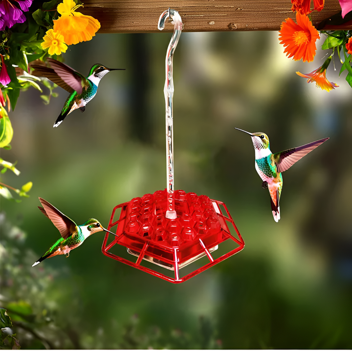 Stylish outdoor garden hummingbird feeder with integrated ant moat & bee guard; a beautiful wildlife attraction.