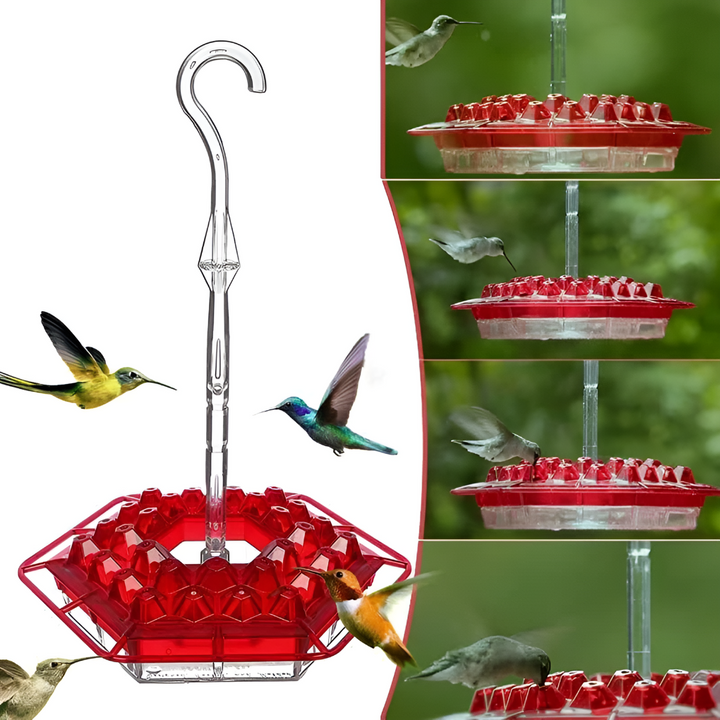Red nectar feeder for backyard birds, equipped with ant moat and bee guard. Enhances garden decor and wildlife.