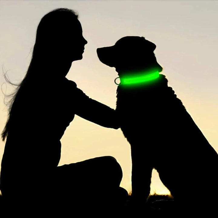 High-visibility reflective dog collar, perfect for night walks, featuring a secure AirTag holder for pets.