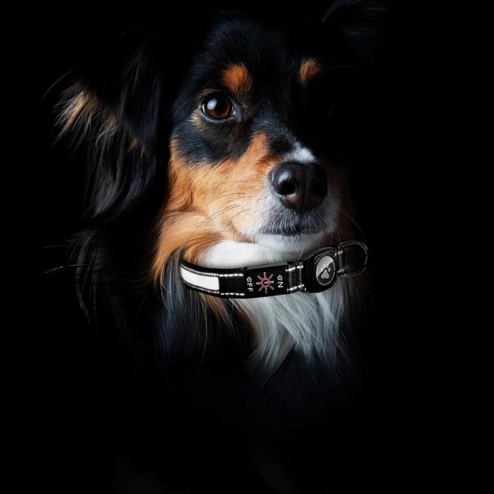 Secure AirTag dog collar with strong reflective material, enhancing visibility and pet tracking at night.