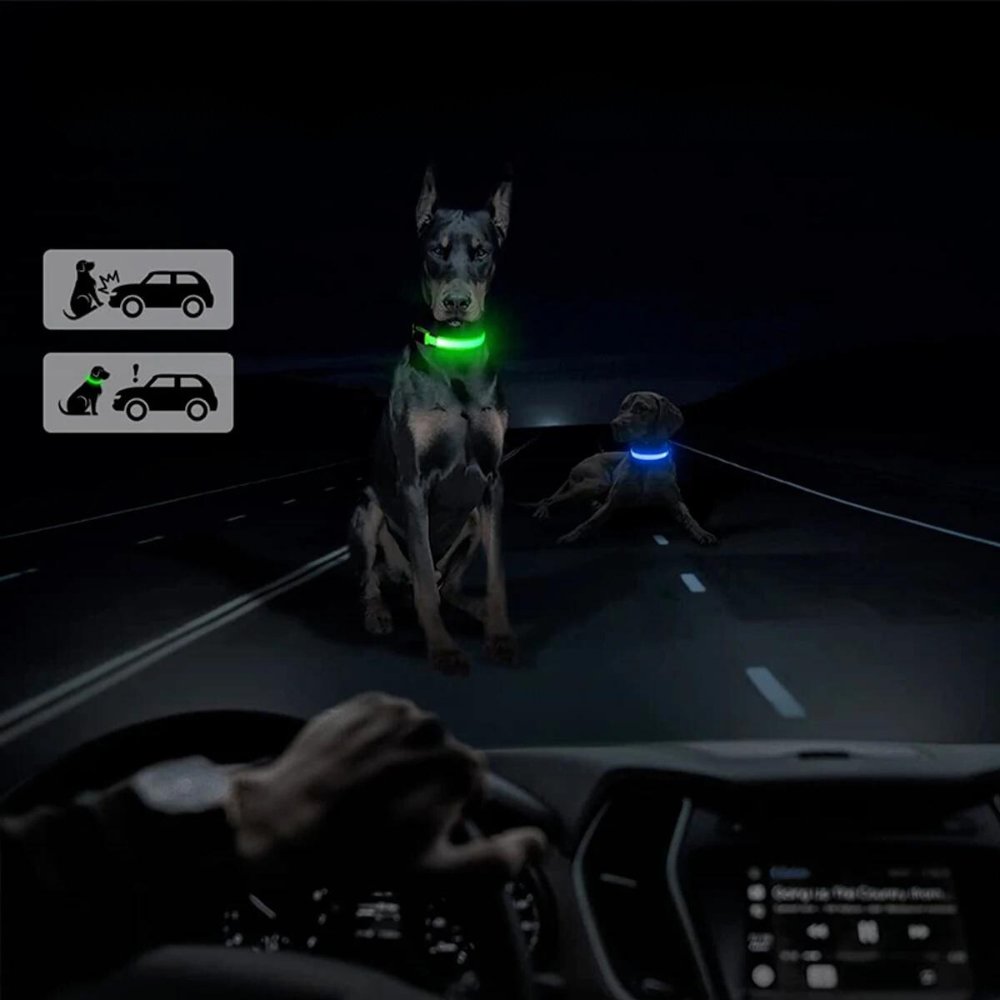 Pet safety dog collar: waterproof, reflective, and designed with a secure pouch for your GPS tracker.