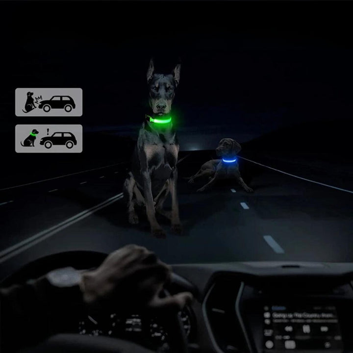 Pet safety dog collar: waterproof, reflective, and designed with a secure pouch for your GPS tracker.