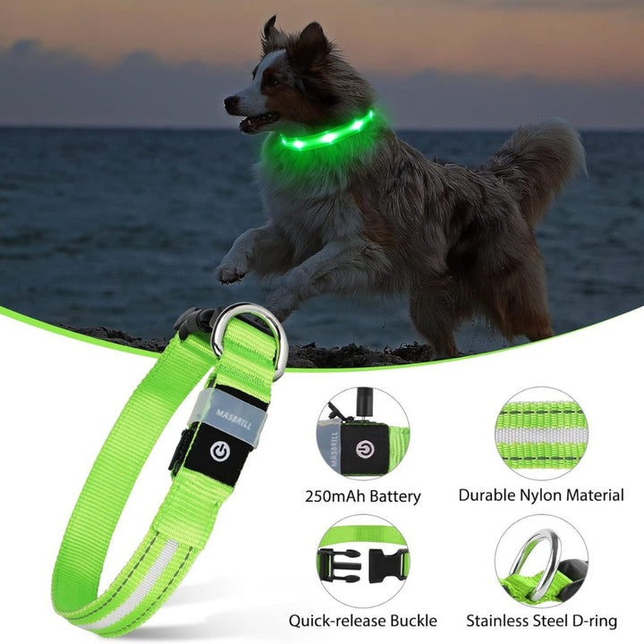 Premium reflective dog collar accessory, featuring a discreet and secure pouch for an AirTag tracker.