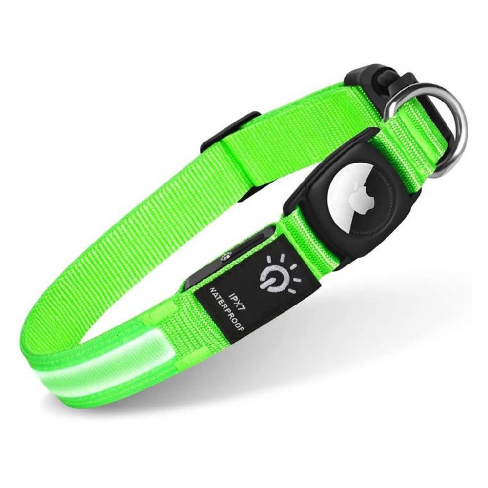 Night safety dog collar with high-visibility reflective strip and secure pocket for a GPS device.