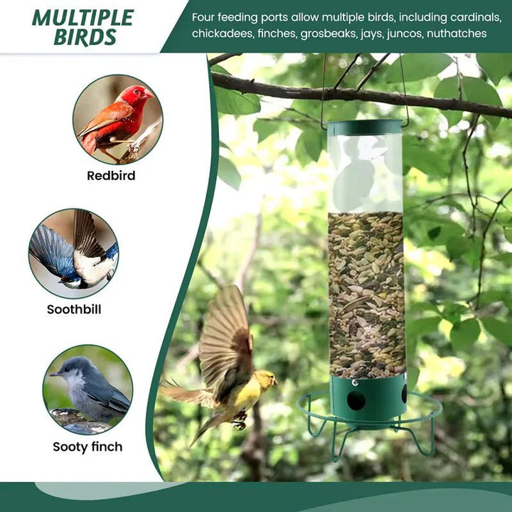Squirrel - Proof Metal Bird Feeder with Rotating Perch - Lexians