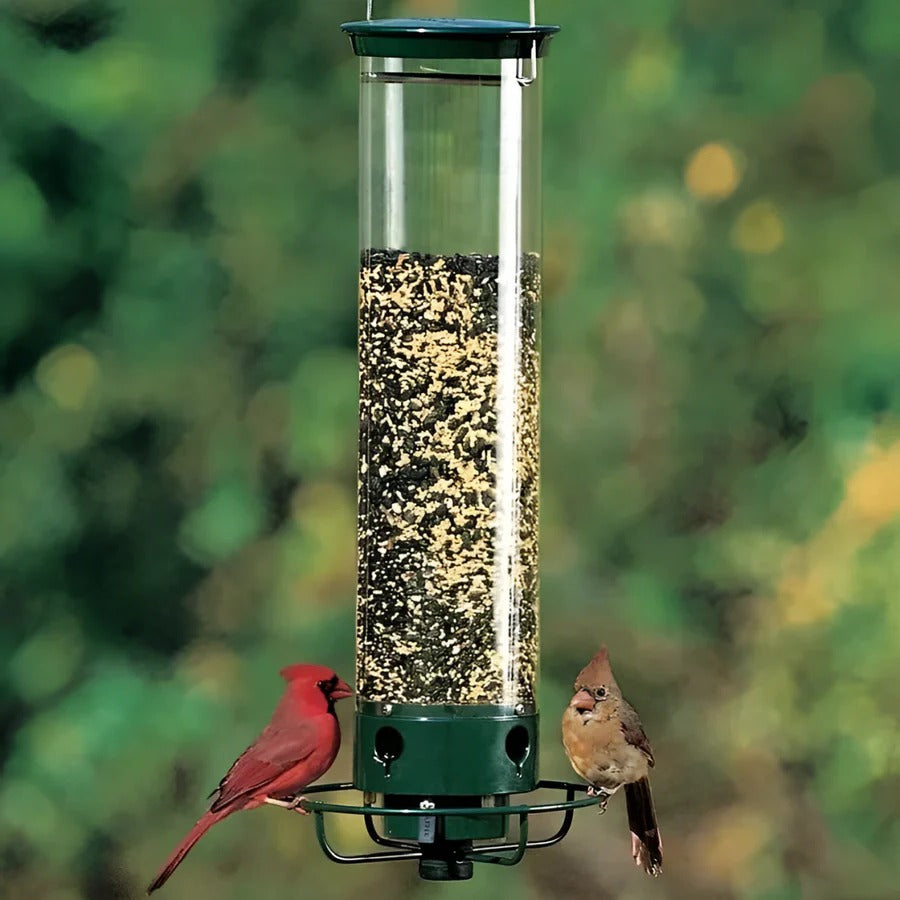 Squirrel-resistant bird feeder, hangs in garden, keeps seeds safe from squirrels. Ideal for wild birds.