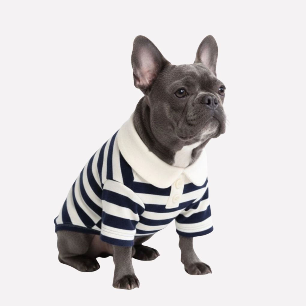 Adjustable classic striped polo dog shirt for small to large dogs, comfortable and stylish pet clothing.