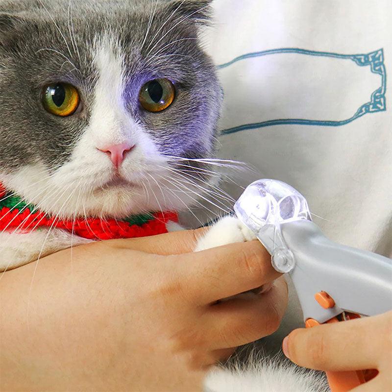 Pet owner safely trimming dog's nails with TavvitaImp009 LED clippers; quick sensor protects the quick.
