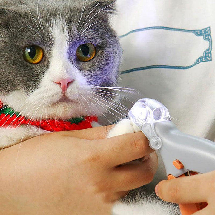 Pet owner safely trimming dog's nails with TavvitaImp009 LED clippers; quick sensor protects the quick.