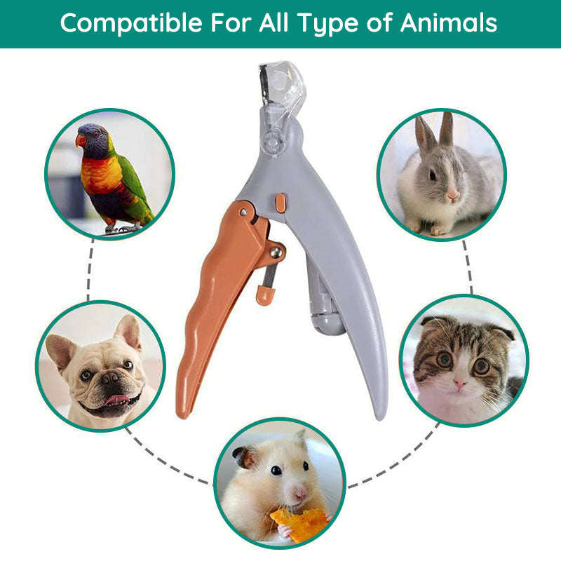 Modern design of TavvitaImp009 dog nail clippers, featuring safety sensor and durable pet grooming tools.