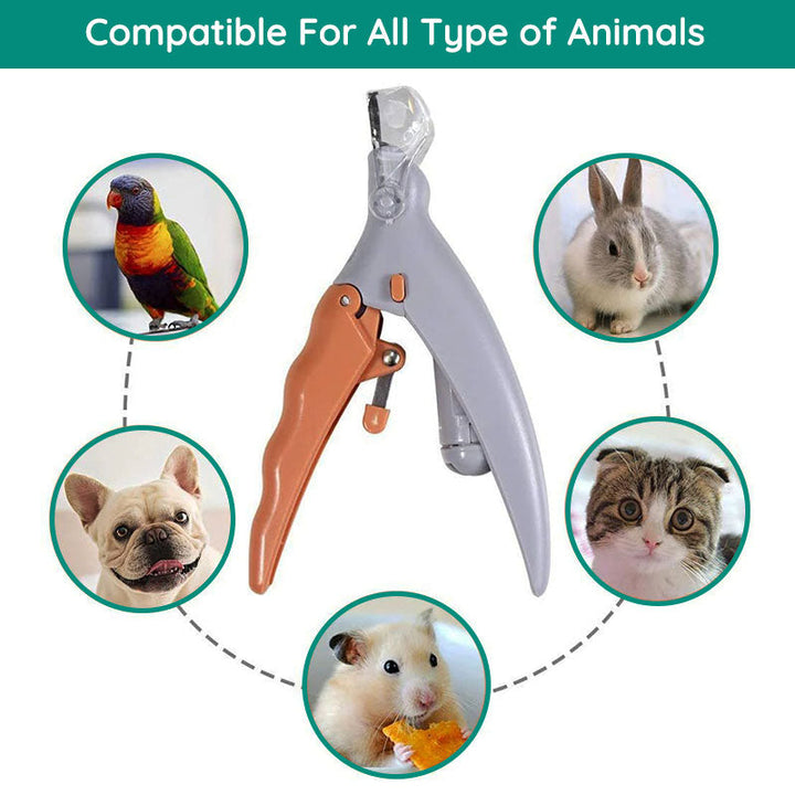 Modern design of TavvitaImp009 dog nail clippers, featuring safety sensor and durable pet grooming tools.