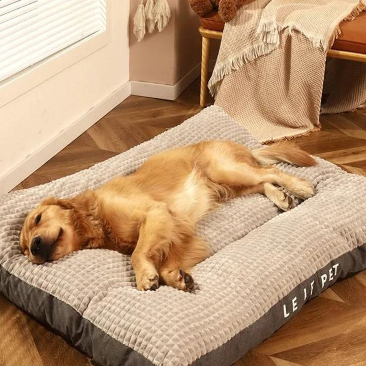 Washable pet bed made of plush fleece, perfect for dog comfort in any room.