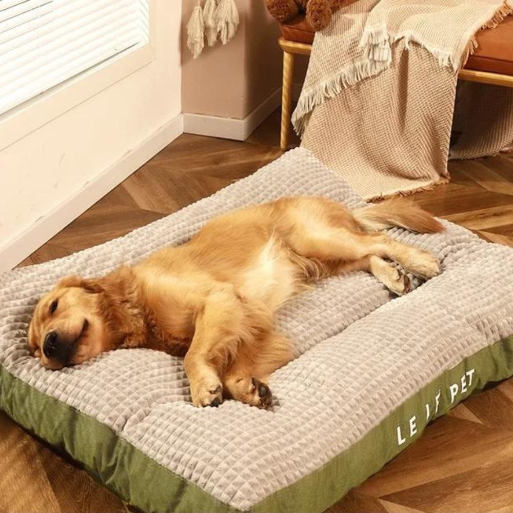 Cozy fleece dog bed in a living room, designed for ultimate pet relaxation and support.