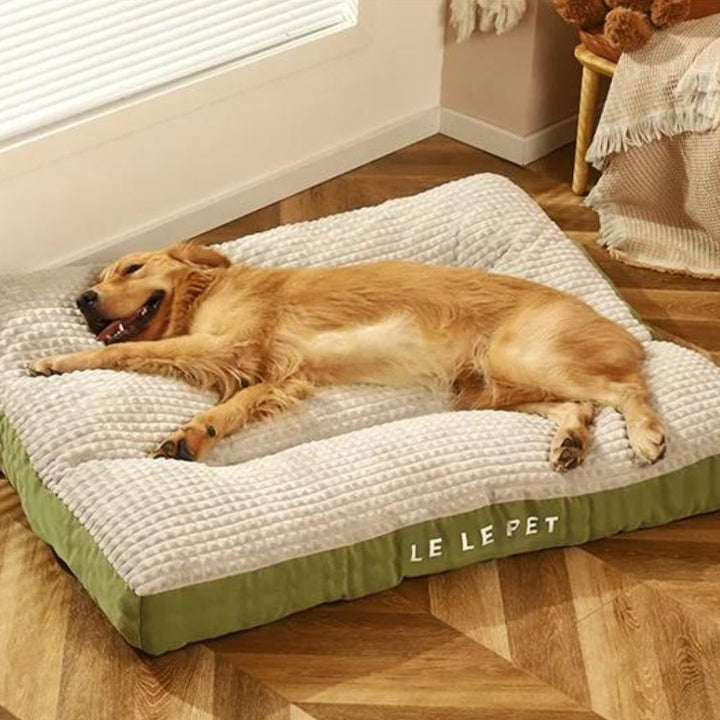 Soft washable dog bed with elevated sides, ideal for pets seeking warmth and security.