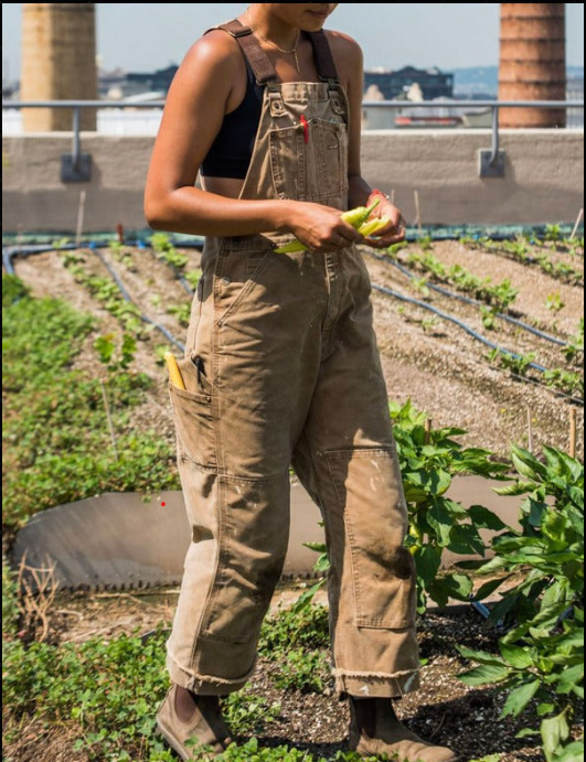Unisex durable garden overalls for comfort & utility. Features adjustable straps & multiple pockets, ideal for workwear.