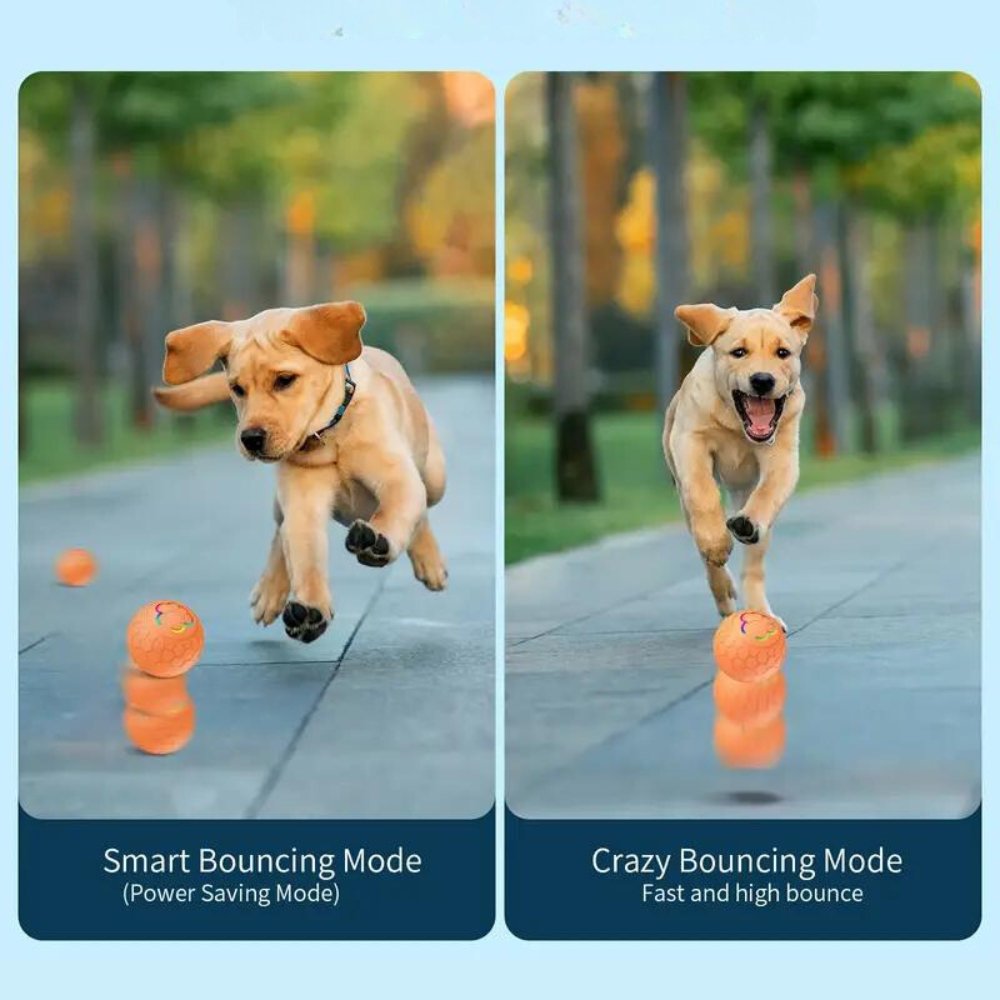 Interactive dog ball, SmartBounce feature for stimulating exercise and engagement.