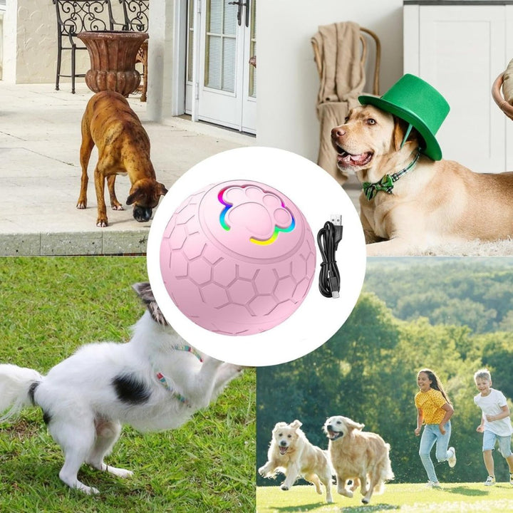 Durable SmartBounce pet toy for dogs, designed for robust play and long-lasting fun.