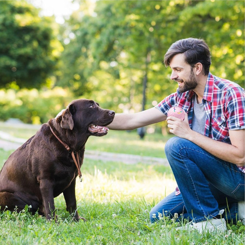 Unisex SmartBounce interactive dog toy ball, great for physical and mental stimulation.