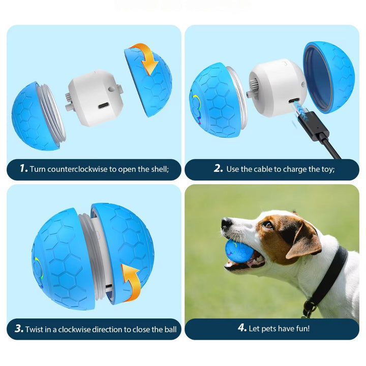 SmartBounce interactive pet toy, a durable ball for fetch, exercise, and mental agility.
