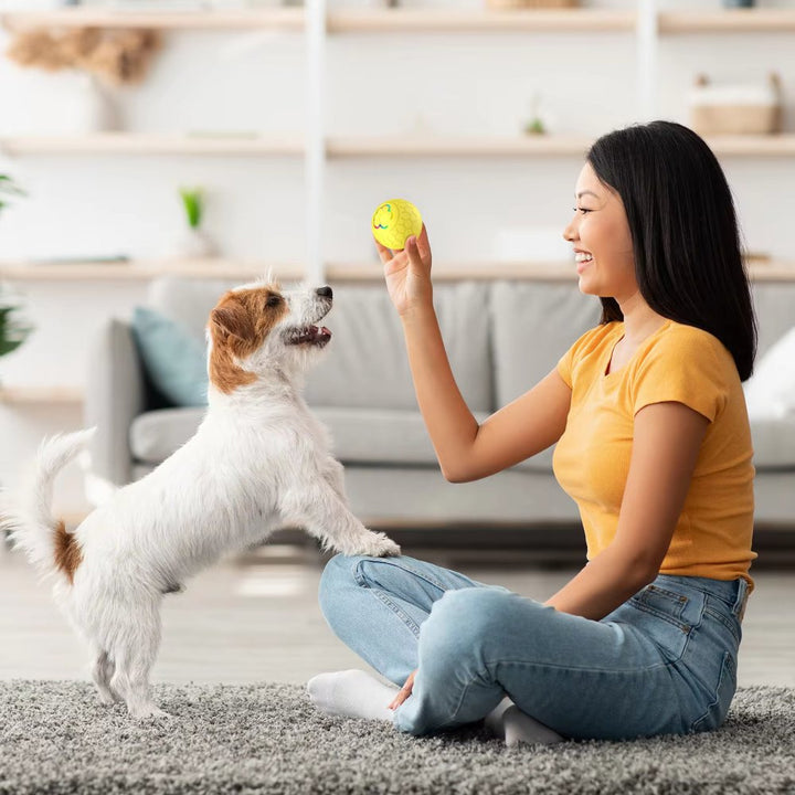 Unisex SmartBounce interactive dog toy, a durable and bouncing ball for pet entertainment.