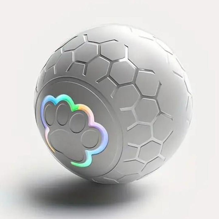 Pet playing with a bouncing SmartBounce interactive dog toy ball, enhancing fetch games.