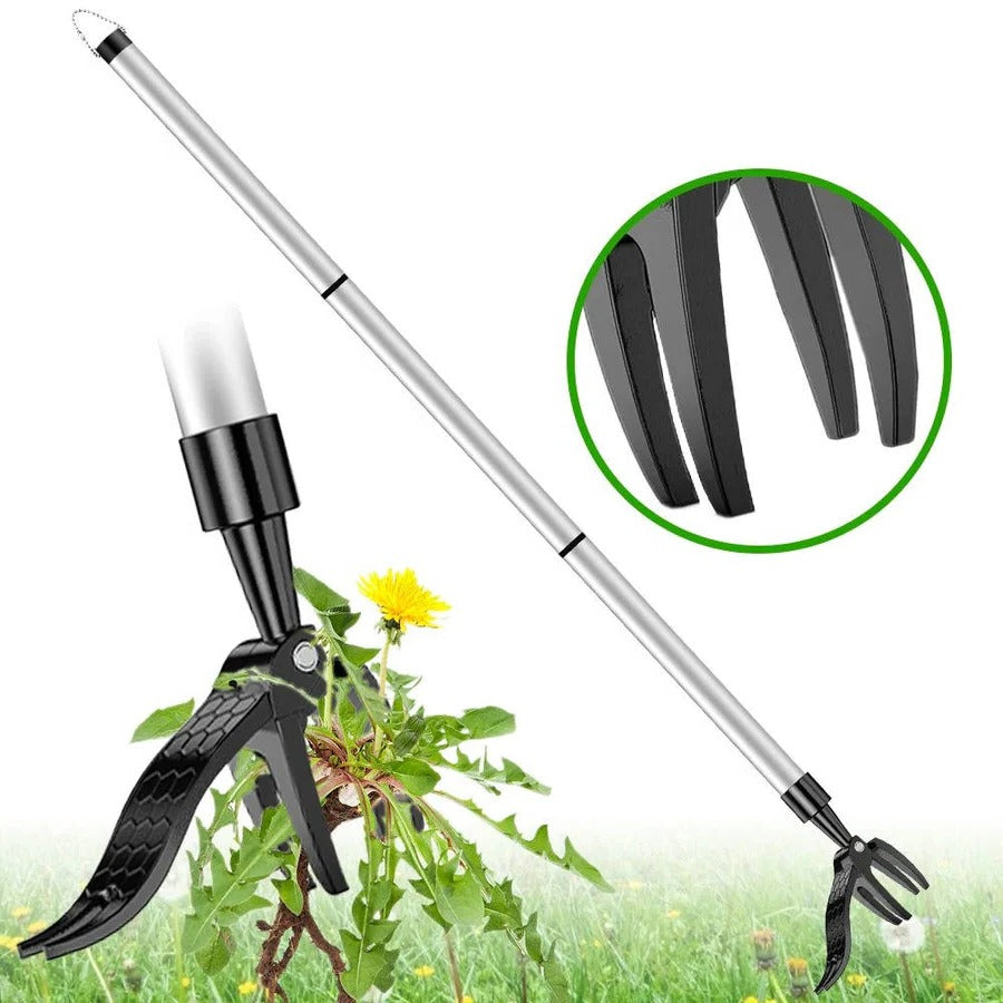 Efficient stand up weeder, a practical garden tool making weed pulling easy and quick for any gardener.