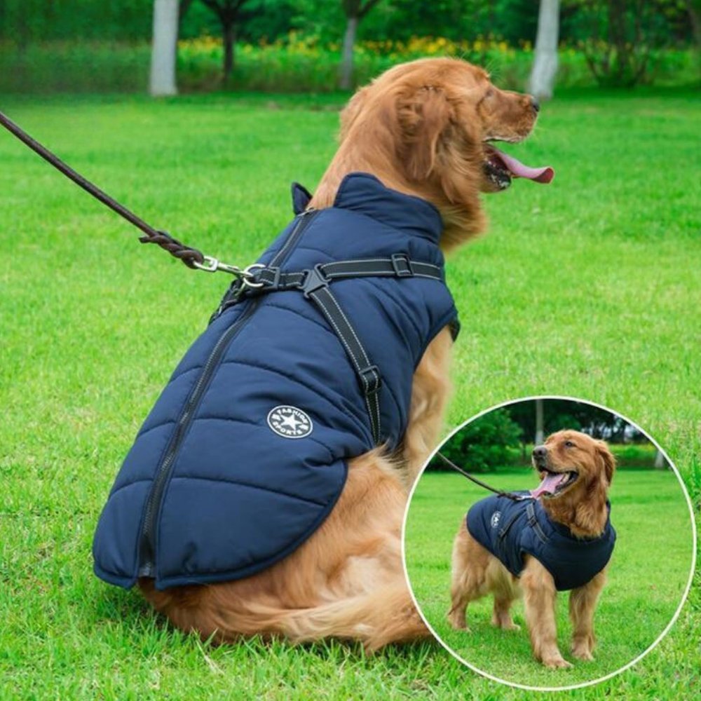 Waterproof dog coat with built-in harness for winter, keeping pets warm and dry during adventures.