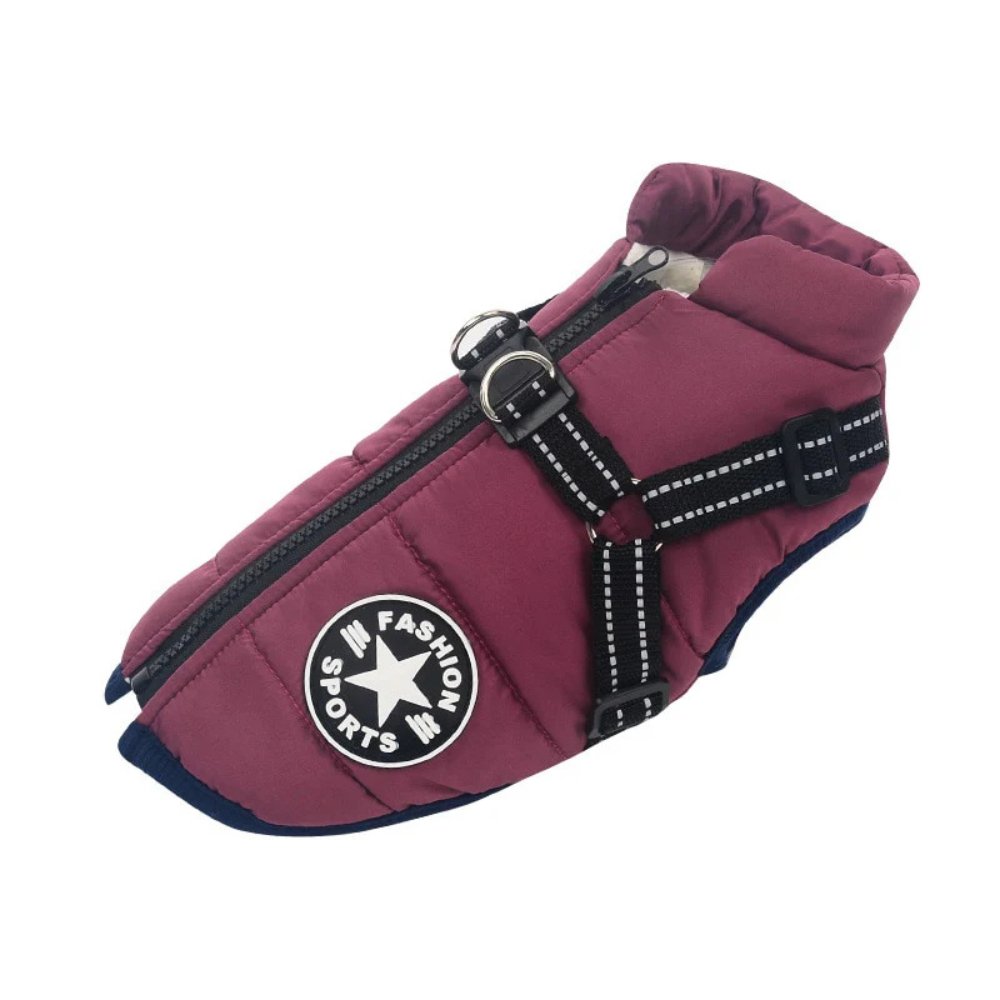 Snug-fit waterproof dog jacket with secure harness, designed for winter dog adventures and play.