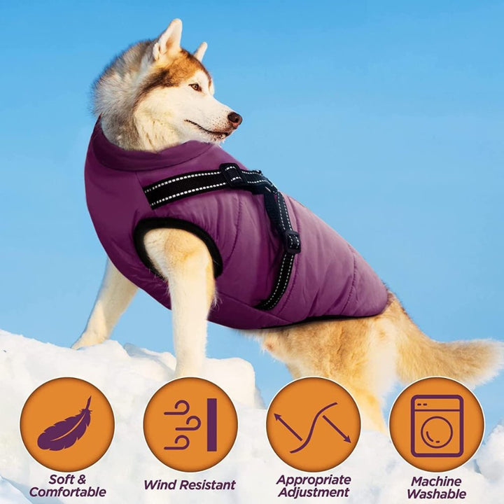 Durable dog jacket with integrated harness, ideal for rainy and cold weather outdoor explorations.