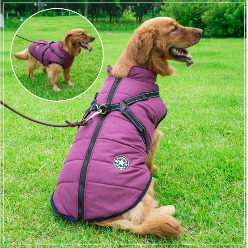 Pet winter coat: waterproof, windproof, and secure built-in harness for comfortable outdoor walks.