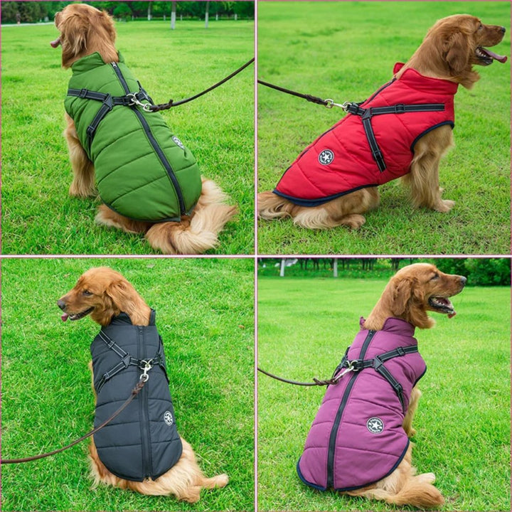Stylish dog winter jacket with integrated harness, offering rain protection and warmth for pets.