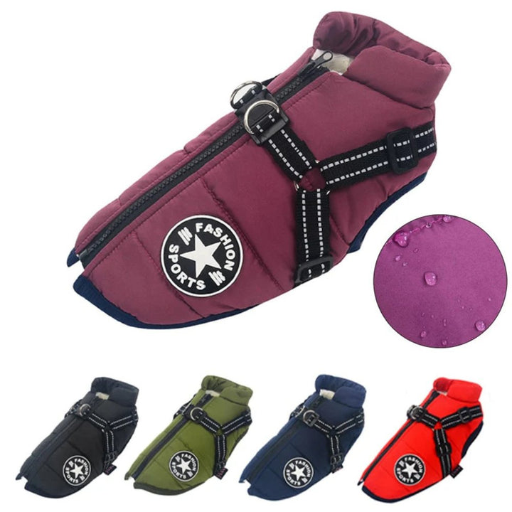 All-weather dog jacket with built-in harness, essential for cold, wet outdoor activities and hikes.