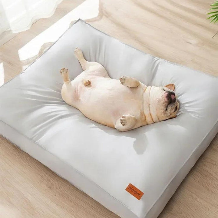 Durable Waterproof Dog Bed with orthopedic memory foam, ensuring pet comfort & easy cleaning.