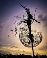 Wind To Fly