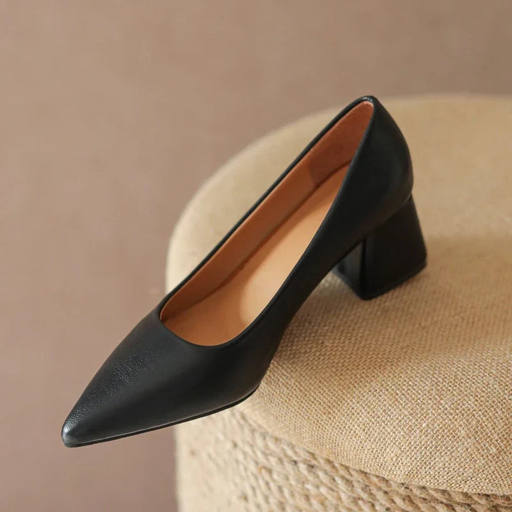 Sleek pointed toe block heel pumps for women, essential formal office & event footwear.