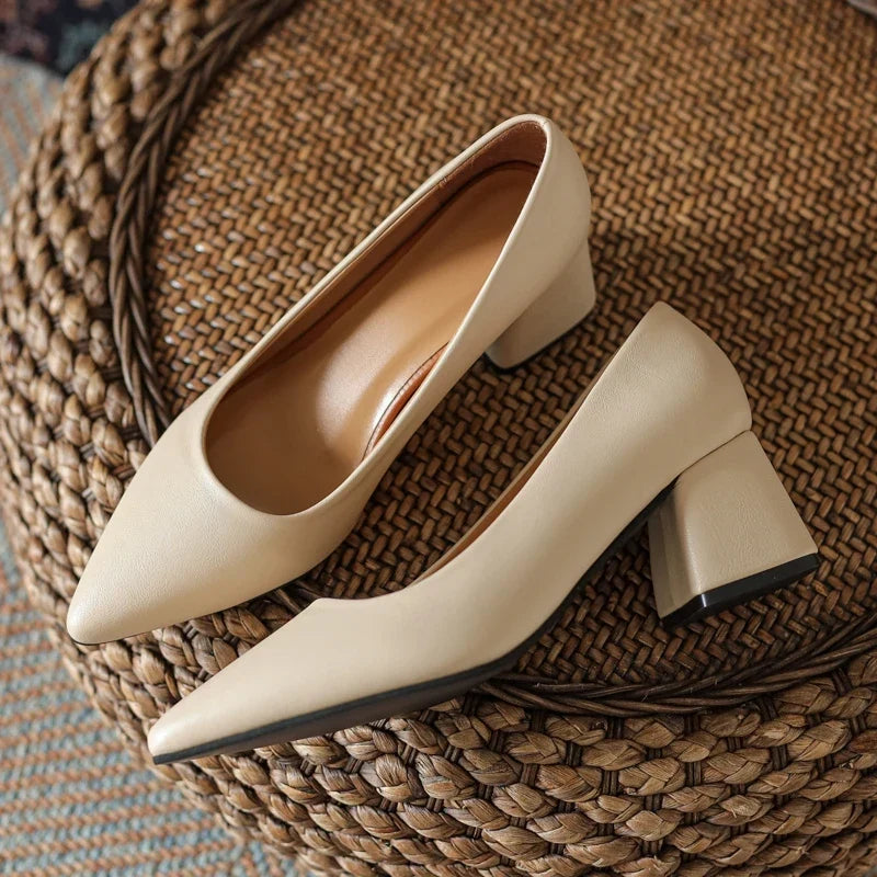 Versatile women's pointed toe block heel pumps, perfect for office, parties, & evening events.