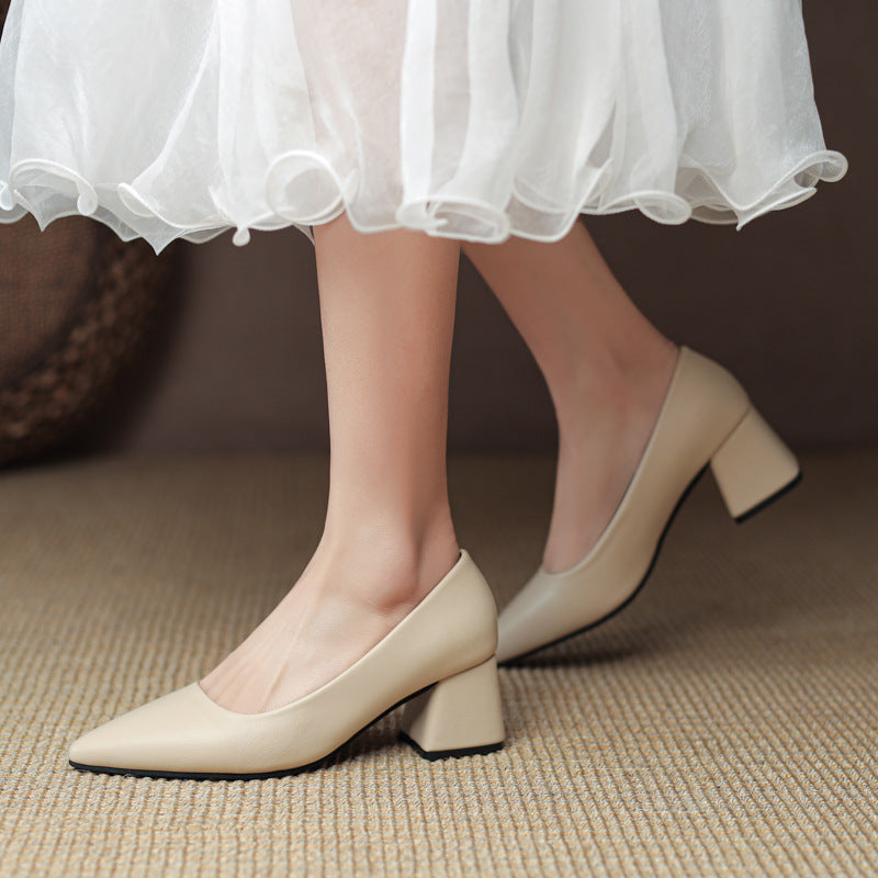 Elegant classic pointed toe block heel pumps for women, sophisticated office & evening wear.